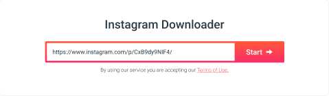 incolla l'URL di Instagram